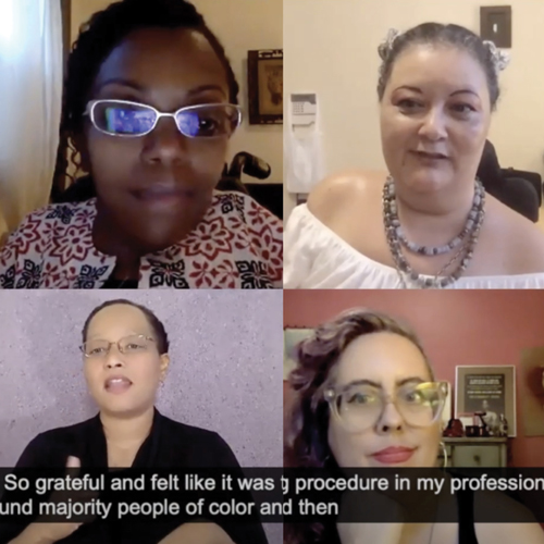 people in a zoom meeting