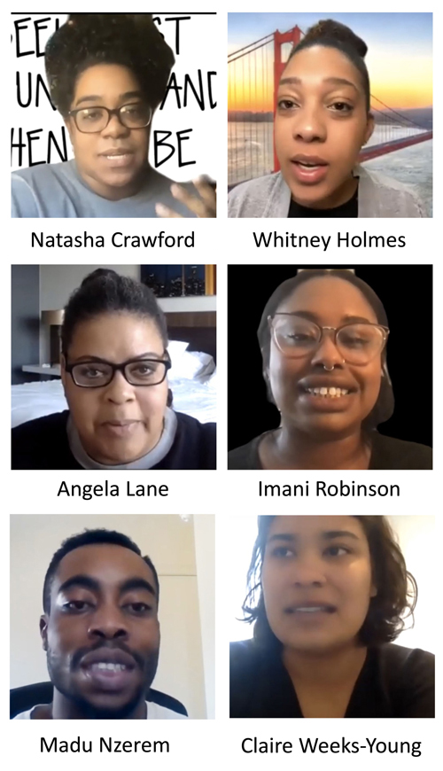 STEM persons in a zoom meeting